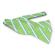 Load image into Gallery viewer, Cape Juluca: Bow - Green