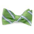 Load image into Gallery viewer, Cape Juluca: Bow - Green