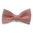Load image into Gallery viewer, Elbow Beach: Bow - Coral