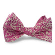 Load image into Gallery viewer, Liberty Marwood: Bow - Pink/White
