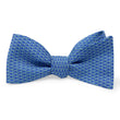 Load image into Gallery viewer, Fish Wish: Bow - Aqua