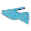 Load image into Gallery viewer, Pig Pickin': Bow - Aqua