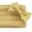 Load image into Gallery viewer, Pig Pickin': Cummerbund Set - Yellow