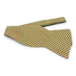 Load image into Gallery viewer, Tortuga: Bow - Yellow