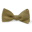Load image into Gallery viewer, Tortuga: Bow - Yellow