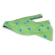Load image into Gallery viewer, Turtles: Bow - Green