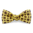 Load image into Gallery viewer, Landon: Bow - Yellow
