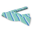 Load image into Gallery viewer, Broadmoor: Bow - Green