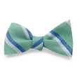 Load image into Gallery viewer, Broadmoor: Bow - Green