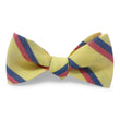Load image into Gallery viewer, Broadmoor: Bow - Yellow