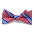 Load image into Gallery viewer, Shenandoah: Bow - Pink