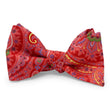 Load image into Gallery viewer, DeWitt: Bow - Red