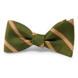 Load image into Gallery viewer, Kenney: Bow - Green/Yellow