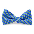 Load image into Gallery viewer, Beck: Bow - Blue/Green
