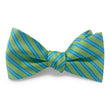 Load image into Gallery viewer, Beck: Bow - Green