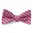 Load image into Gallery viewer, Beck: Bow - Red