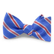 Load image into Gallery viewer, Bono: Bow - Blue