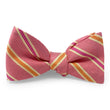Load image into Gallery viewer, Bono: Bow - Pink