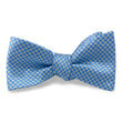 Load image into Gallery viewer, Basie: Bow - Blue