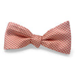 Load image into Gallery viewer, Basie: Bow - Coral