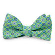 Load image into Gallery viewer, Bowie: Bow - Green