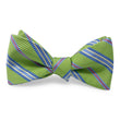 Load image into Gallery viewer, Cobain: Bow - Green
