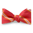 Load image into Gallery viewer, Cooper: Bow - Red