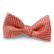 Load image into Gallery viewer, Dylan: Bow - Coral