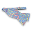 Load image into Gallery viewer, Elton: Bow - Blue