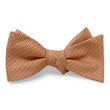 Load image into Gallery viewer, Floyd: Bow - Red