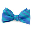 Load image into Gallery viewer, Garcia: Bow - Aqua