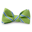 Load image into Gallery viewer, Jarreau: Bow - Green