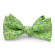 Load image into Gallery viewer, Lily & Frog: Bow - Yellow