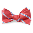Load image into Gallery viewer, McFerrin: Bow - Red
