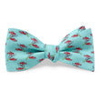 Load image into Gallery viewer, Pesce: Bow - Aqua
