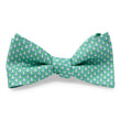 Load image into Gallery viewer, Set Sail: Bow - Green