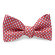 Load image into Gallery viewer, Set Sail: Bow - Red