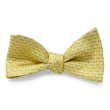 Load image into Gallery viewer, Set Sail: Bow - Yellow