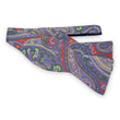 Load image into Gallery viewer, Bronson: Bow - Coral