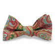 Load image into Gallery viewer, Bronson: Bow - Olive