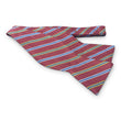Load image into Gallery viewer, Finney: Bow - Red/Blue/Green