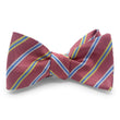 Load image into Gallery viewer, Finney: Bow - Red/Blue/Green