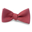 Load image into Gallery viewer, Sinatra: Bow - Pink