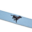 Load image into Gallery viewer, Lab Race: Embroidered Belt - Light Blue
