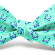 Load image into Gallery viewer, In a Pinch: Bow Tie - Mint