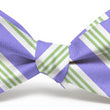 Load image into Gallery viewer, American Made Collared Greens Bow Tie Purple/Green Made in the USA