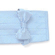 Load image into Gallery viewer, Signature Stripe: Cummerbund Set - Carolina