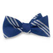 Load image into Gallery viewer, College Collection Stripes: Bow - Navy/Silver