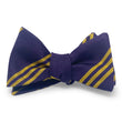 Load image into Gallery viewer, College Collection Stripes: Bow - Purple/Gold