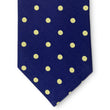 Load image into Gallery viewer, College Collection Dots: Tie - Navy/Gold